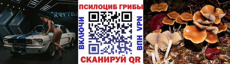 Псилоцибиновые грибы Psilocybine cubensis  Бавлы 
